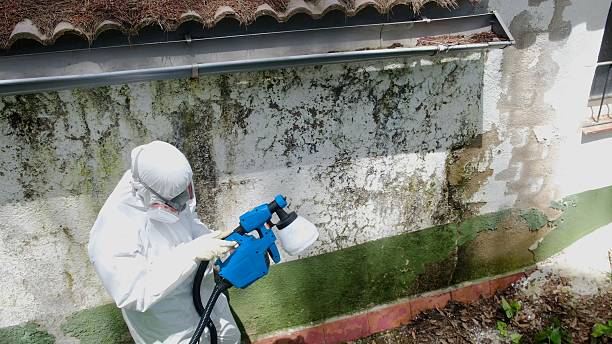 Trusted Attic Mold Removal service in Hillsboro, OR - Cheap Mold Removal